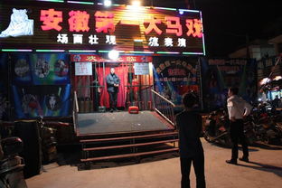 惠州市營(yíng)業(yè)性演出管理規(guī)范與文化活動(dòng)發(fā)展探討